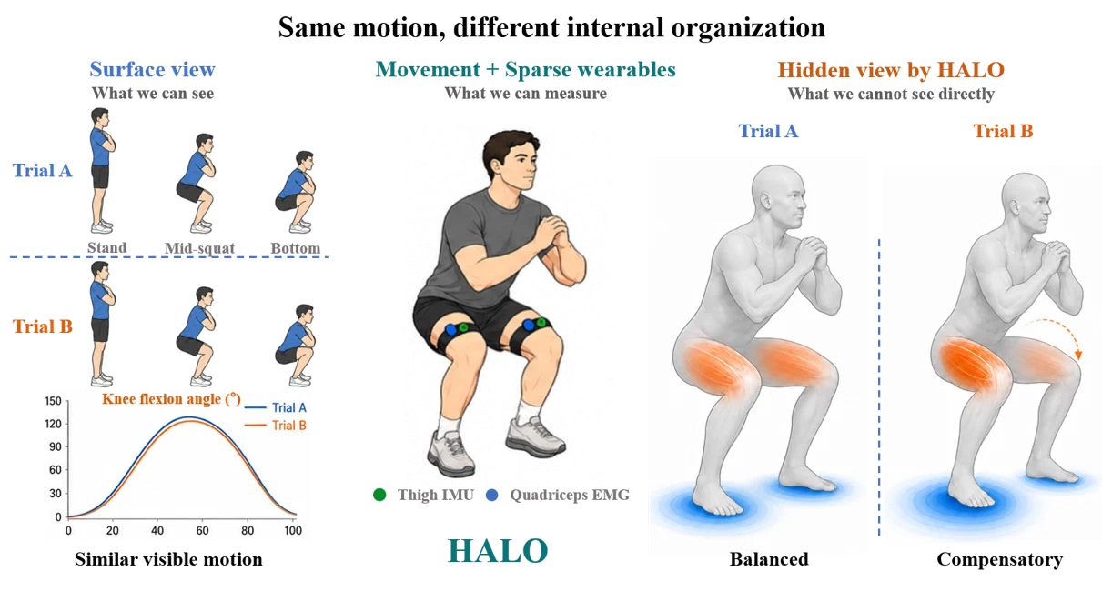 HALO hidden activation-loading state inference overview