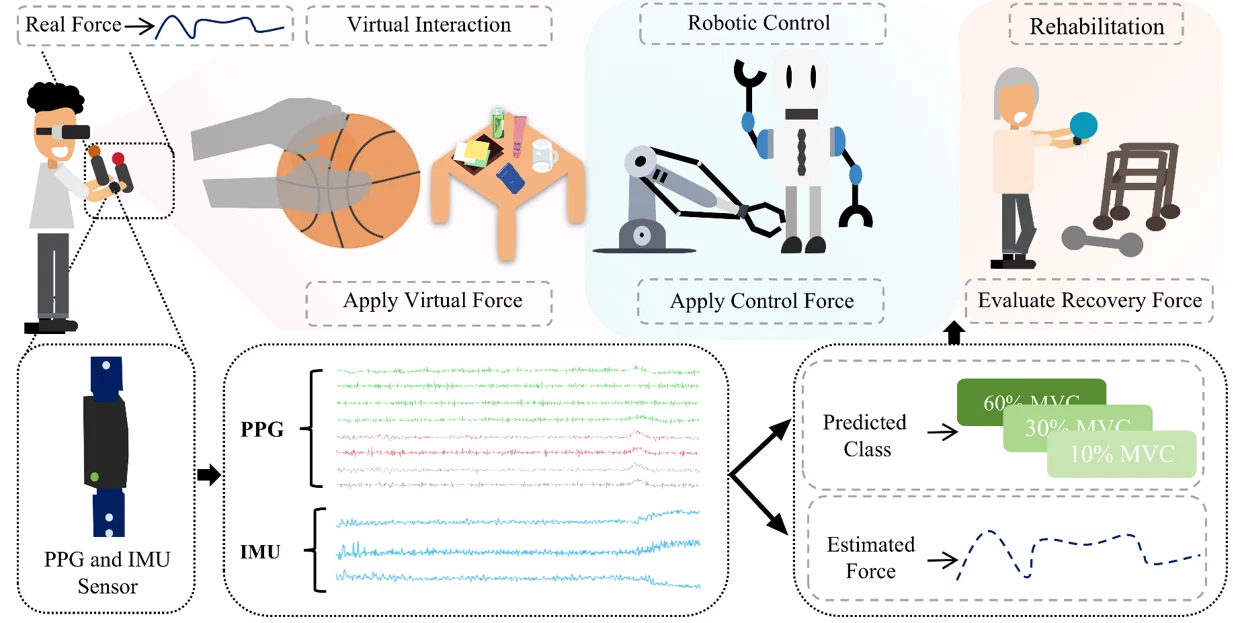 WatchForce wrist-worn PPG and IMU hand-force estimation framework